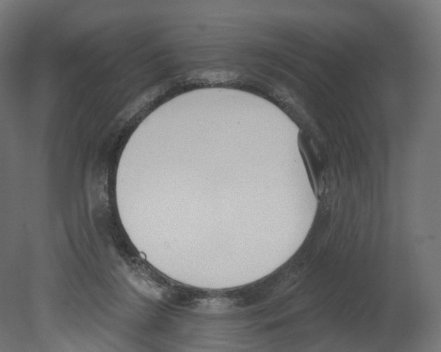 X0000080670212200701121641