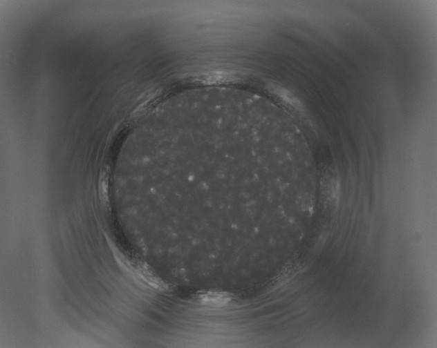 X0000080670214200701121641