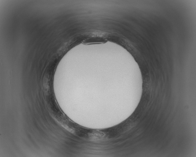 X0000080670215200701121641