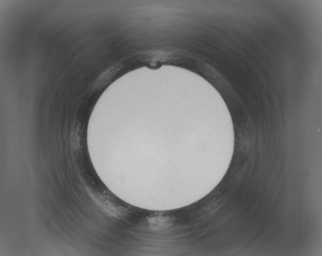 X0000080670216200701121641