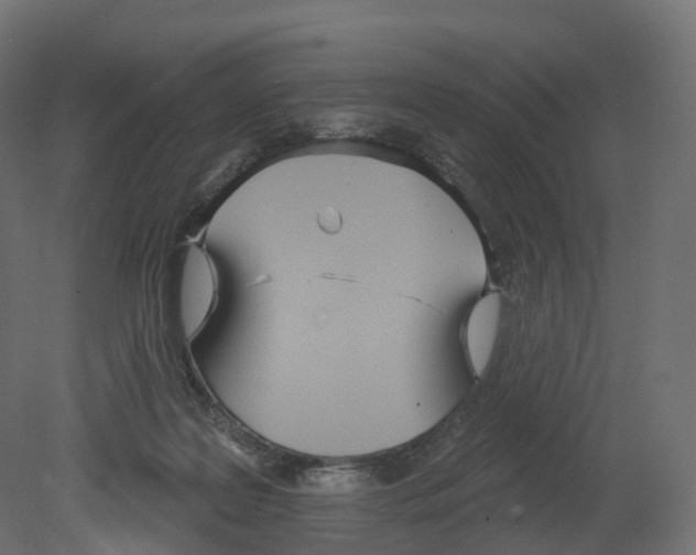 X0000080670219200701121641