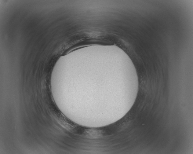 X0000080670221200701121641