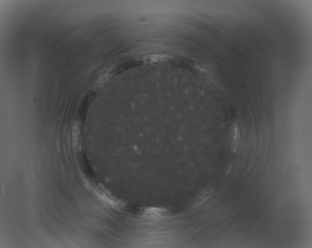 X0000080670222200701121641