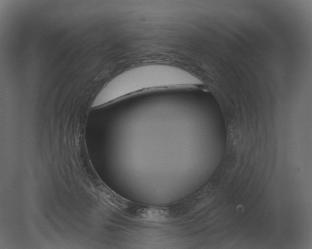 X0000080670223200701121641