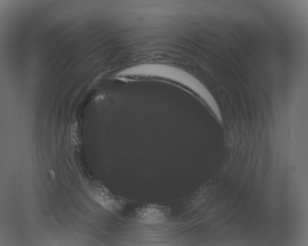 X0000080670224200701121641