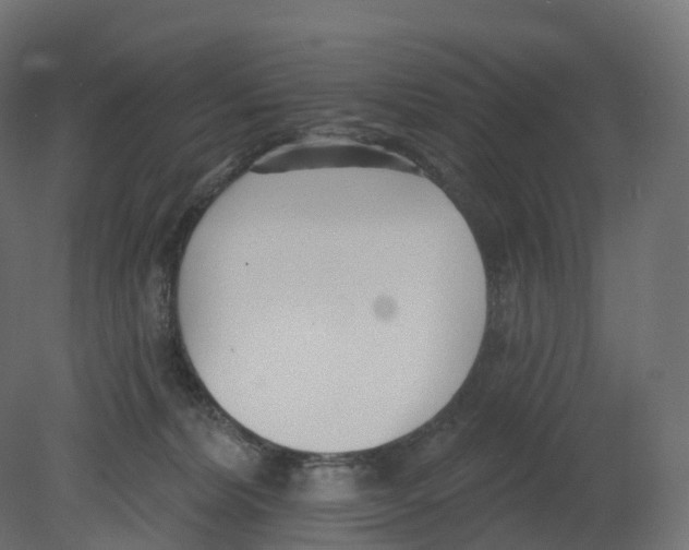 X0000080670228200701121641