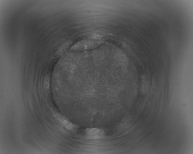 X0000080670230200701121641