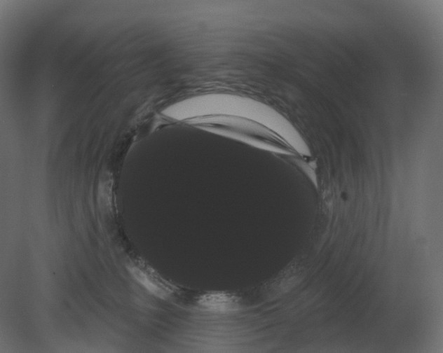 X0000080670231200701121641