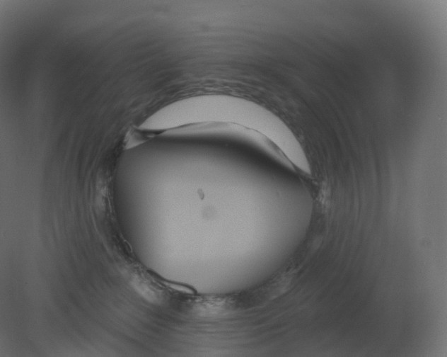 X0000080670235200701121641