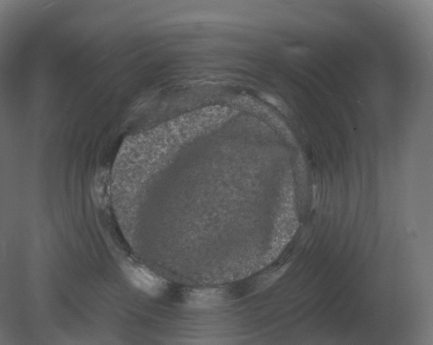 X0000080670237200701121641