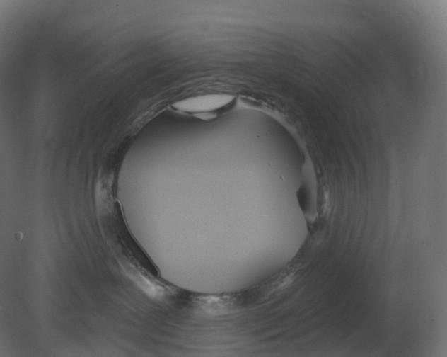 X0000080670239200701121641