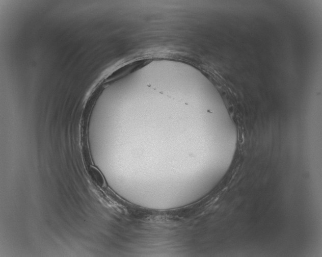 X0000080670244200701121640