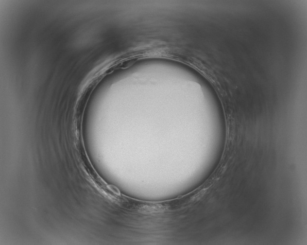 X0000080670245200701121640