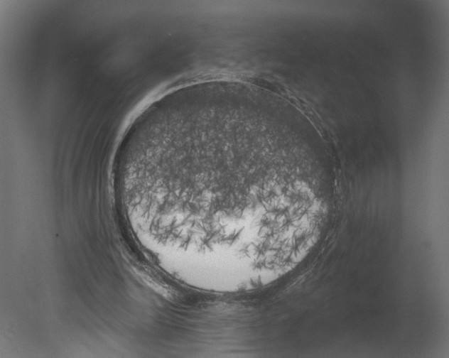 X0000080670246200701121640