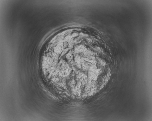 X0000080670247200701121640