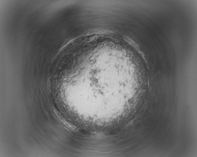 X0000080670249200701121640