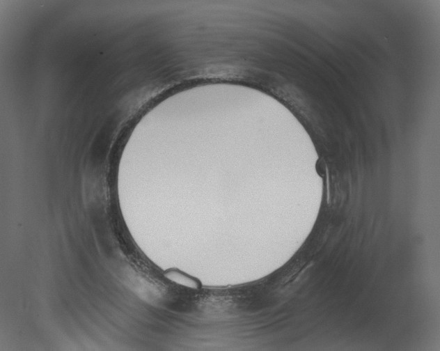 X0000080670252200701121640