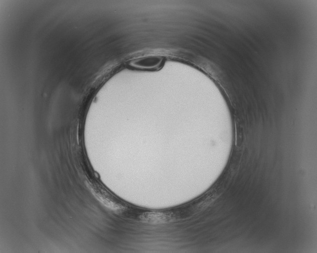 X0000080670253200701121640