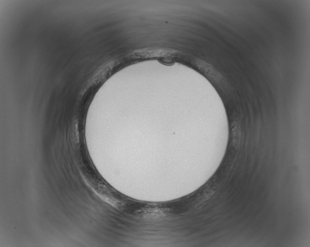 X0000080670254200701121640