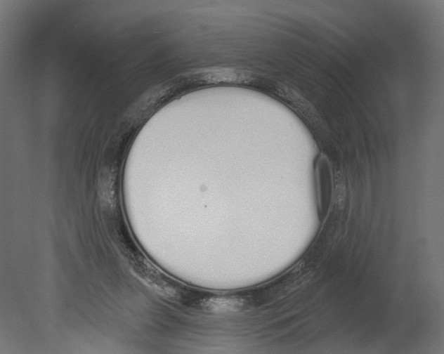 X0000080670255200701121640