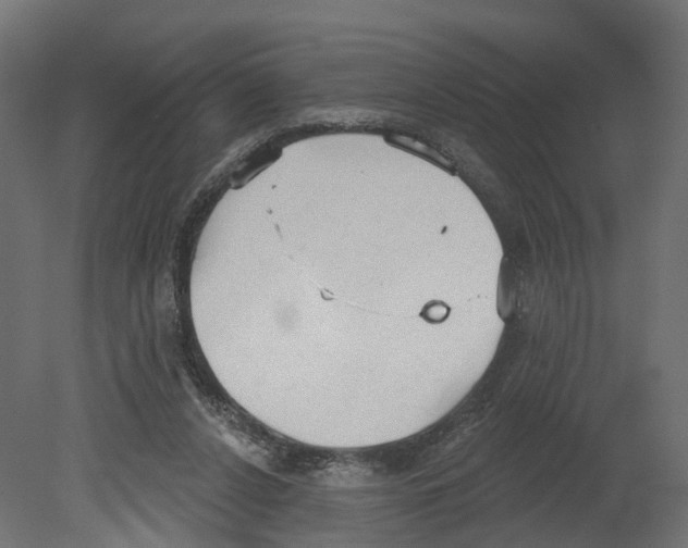 X0000080670256200701121640