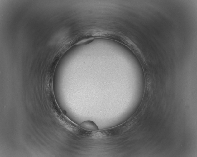 X0000080670257200701121640