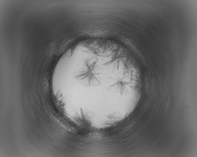 X0000080670259200701121640