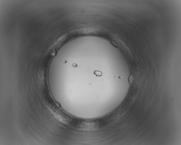 X0000080670260200701121640