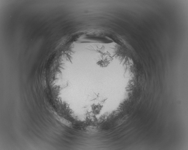 X0000080670261200701121640