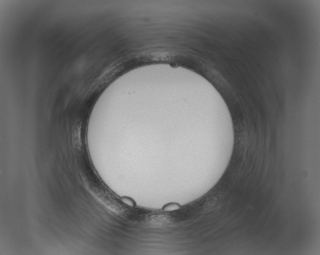 X0000080670262200701121640