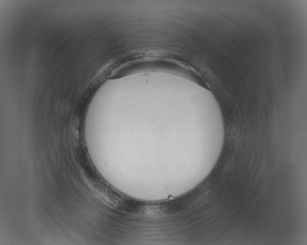 X0000080670264200701121640