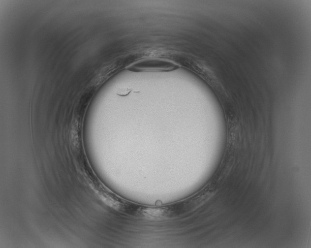 X0000080670265200701121640