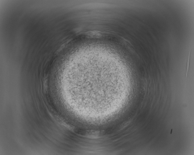 X0000080670267200701121640