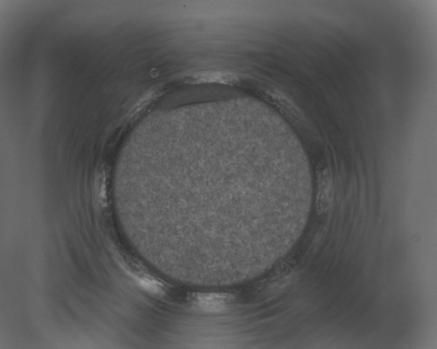 X0000080670268200701121640