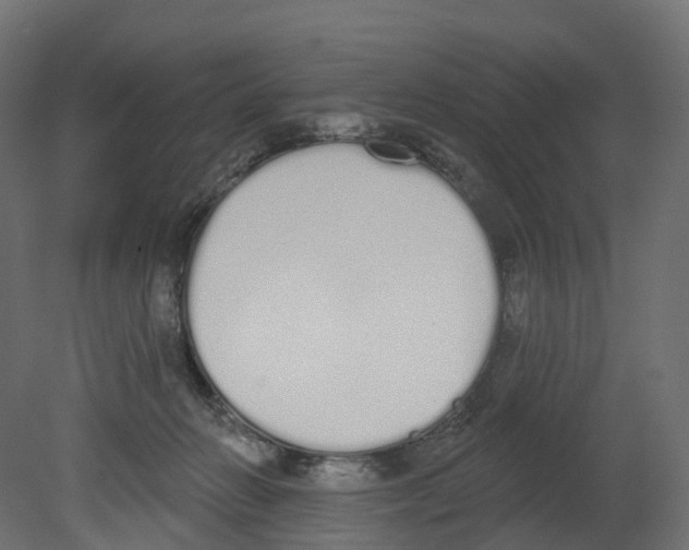 X0000080670270200701121640