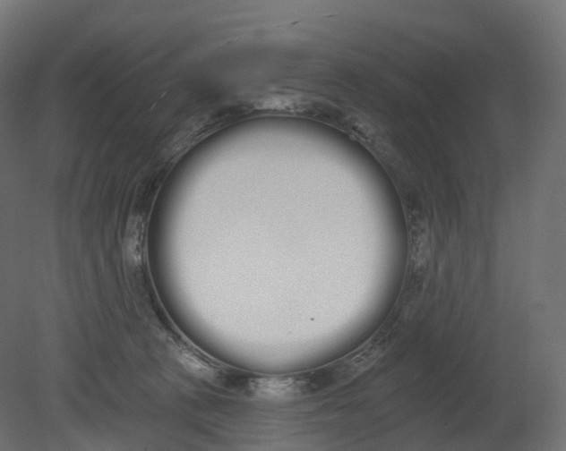 X0000080670273200701121640