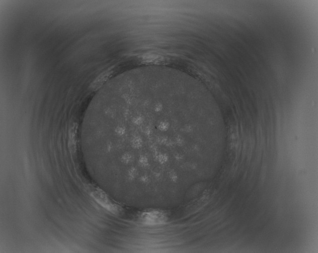 X0000080670275200701121640