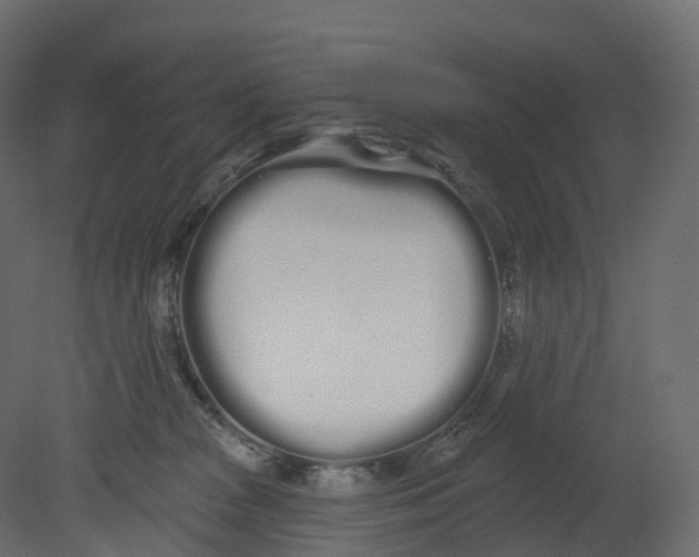 X0000080670277200701121640