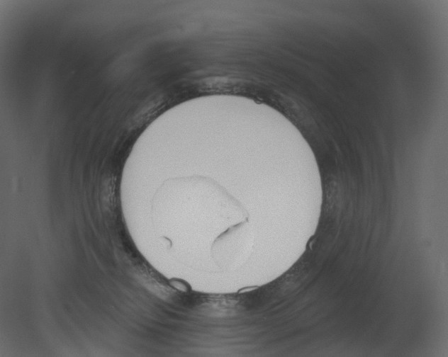 X0000080670278200701121640