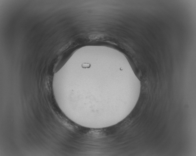 X0000080670280200701121640