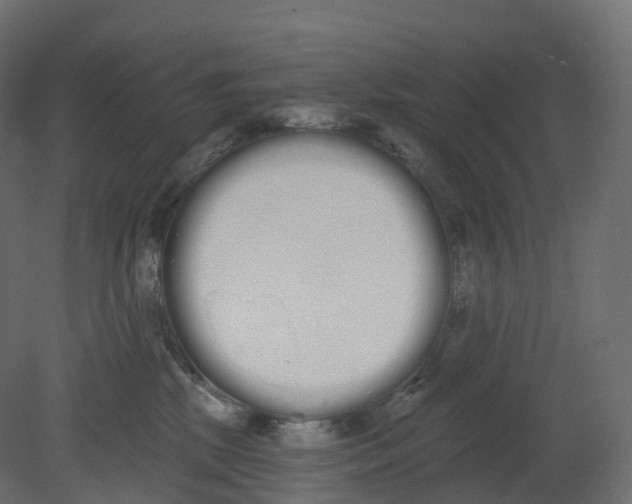 X0000080670281200701121640