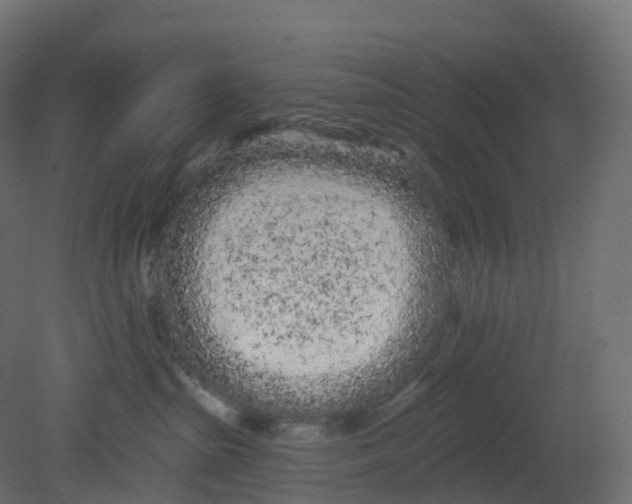 X0000080670285200701121640