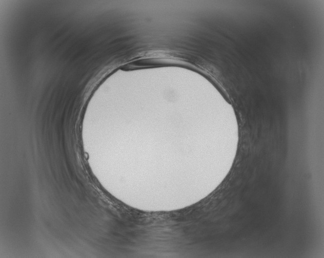 X0000080670289200701121640