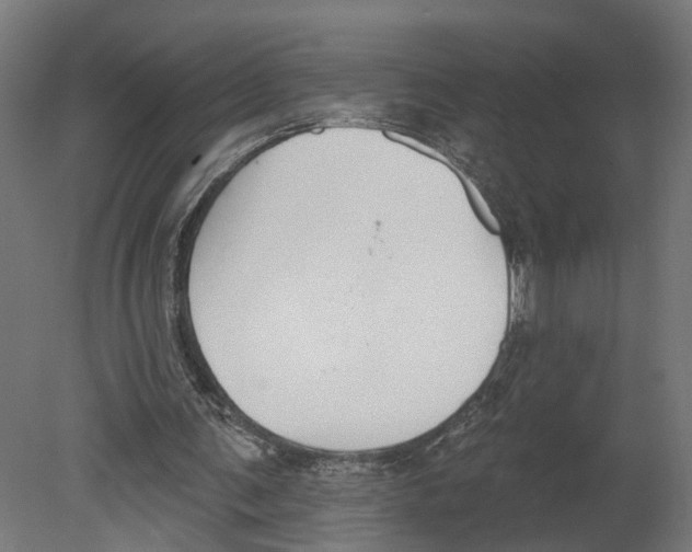 X0000080670291200701121640