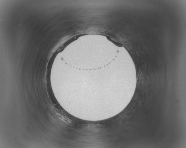 X0000080670292200701121640