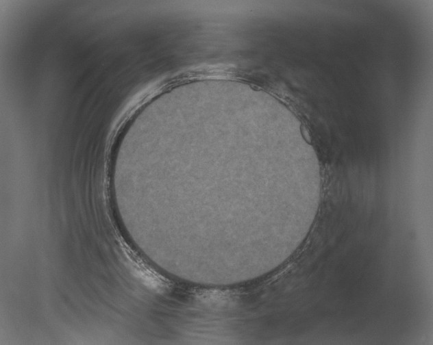 X0000080670293200701121640