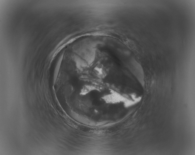 X0000080670295200701121640