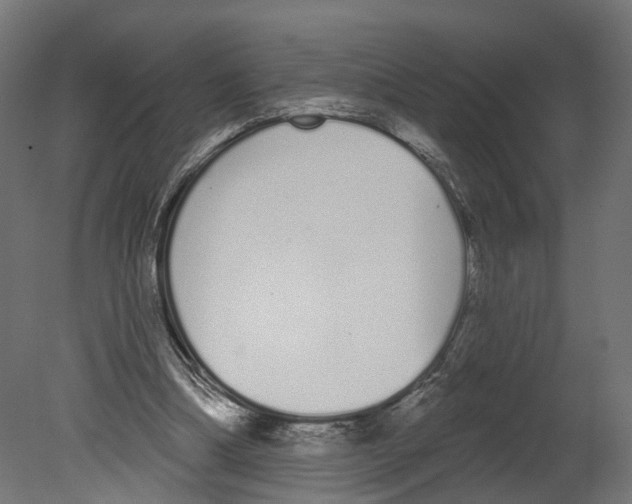 X0000080670298200701121640