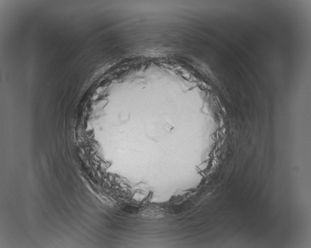 X0000080670299200701121640