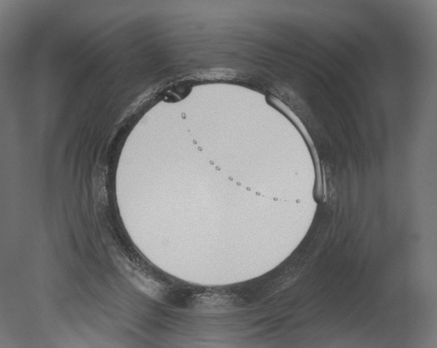 X0000080670300200701121640